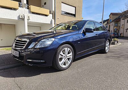 Mercedes-Benz E 300 BlueEFFICIENCY 7G-TRONIC Avantgarde