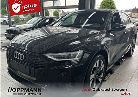 Audi e-tron nza 55 quattro advanced Luft Alcantara B&