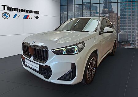 BMW X1 xDrive20d M Sportpaket Panoramadach Allwetter