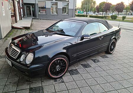 Mercedes-Benz CLK 230 CLK-Klasse Cabrio Kompressor Elegance
