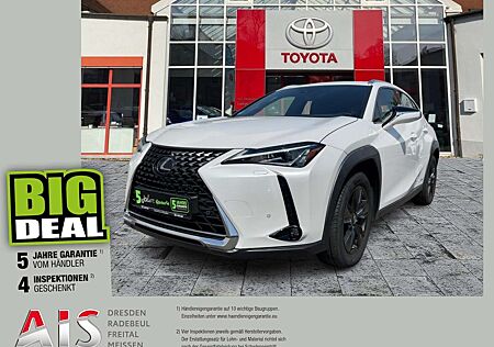 Lexus UX 250h Launch Edition Dachträger*Navi*KAM*DAB