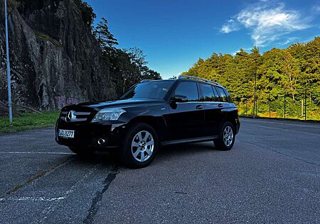 Mercedes-Benz GLK 220 CDI BlueEfficiency 4Matic (204.984)