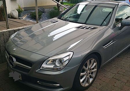 Mercedes-Benz SLK 200 SLK+200+BlueEFFICIENCY+Roadster+pur