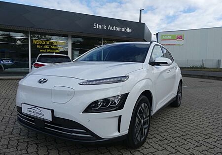 Hyundai Kona Trend Elektro 2WD Navigation Kamera Parkpilot Sitz