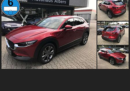 Mazda CX-30 SKYACTIV-X M HYBRID Selection, LEDER, BOSE, 360°Ka