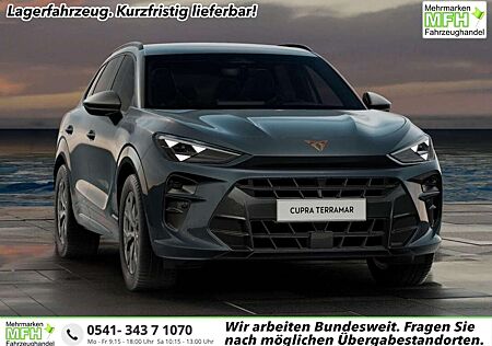 Cupra Terramar DSG Dinamica Edge eHk Kessy ACC Ambient 110 kW ...