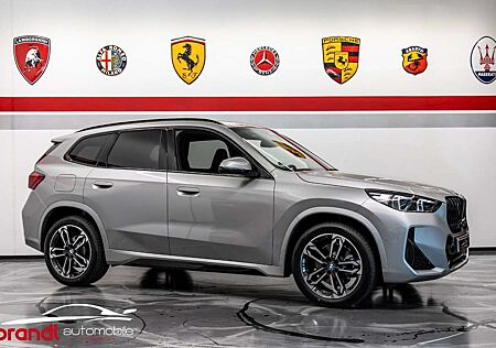 BMW X1 20i sDrive M Sport / DE / hohe Ausstattung