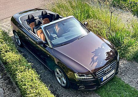 Audi A5 Cabrio Cabrio 2.0 TFSI quattro - Motor neu
