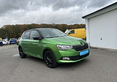 Skoda Fabia gebraucht kaufen Skoda Fabia Style Green Tec 1.0 TSI SMART LINK RFK DAB