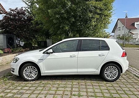 VW Golf Volkswagen Cup 1.2 BMT DSG