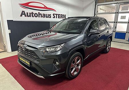 Toyota RAV 4 RAV4 Hybrid 4x4 Club