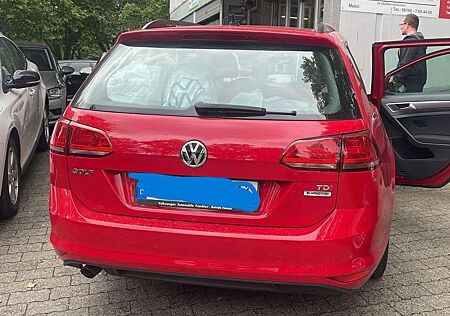 VW Golf Variant Volkswagen Golf+Variant+1.6+TDI+BlueMotion+Technology+Lounge