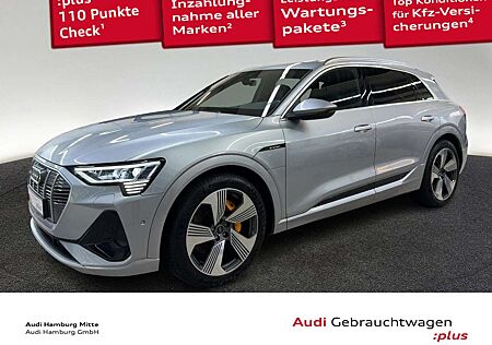 Audi e-tron 55 quattro S line Virtual B&O Kamera