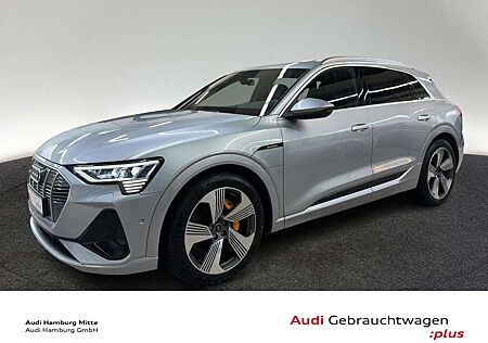 Audi e-tron 55 quattro S line Virtual B&O Kamera