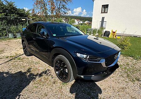 Mazda CX-3 Homura/ Navi/ Kamera/ 8-fach/ 6J Garantie