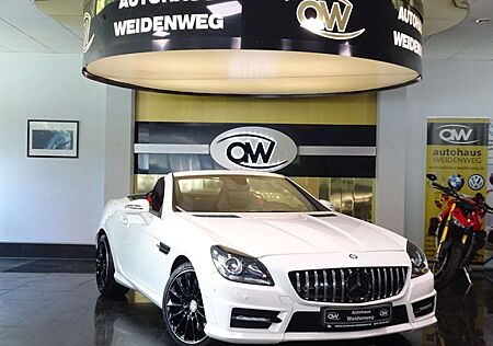 Mercedes-Benz SLK 250 CDI BLE AMG Sportf.Autom.Leder PDC Temp.