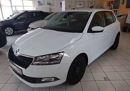 Skoda Fabia 1.0 TSI Cool Plus Sitzheizung DAB PDC