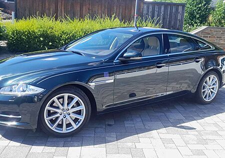 Jaguar XJ 3.0 V6 Diesel S Portfolio !!Top gepflegt!!