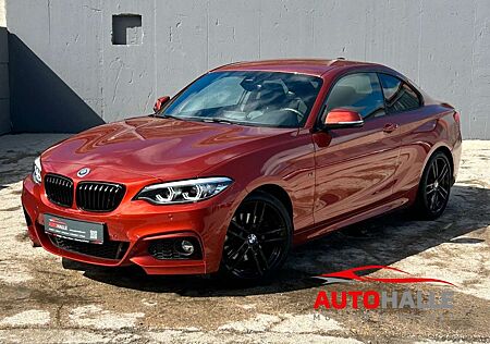 BMW 220 i Coupe F22 Steptr. M-Sport Memory Kamera H&K