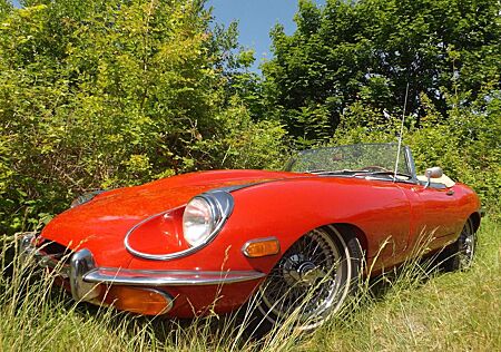 Jaguar E-Type - beautiful lady, echte Sommerschönheit !!