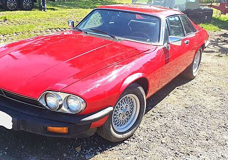 Jaguar XJS 5.3 V12 Einer der Ersten ! Oldtimer Klassiker !