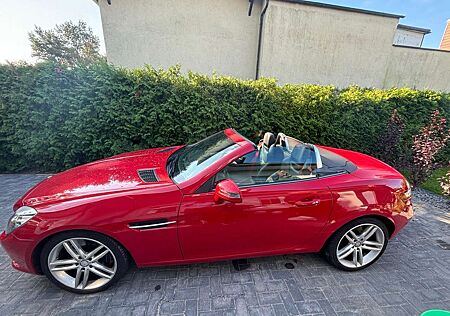 Mercedes-Benz SLK 200 SLK+200+(BlueEFFICIENCY)+7G-TRONIC+CarbonLOOK+Edit