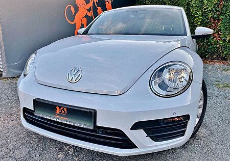 VW Beetle Volkswagen #1.HAND#TÜV#SERVICE#KLIMA#SHZ#TEMPOM#TOP!