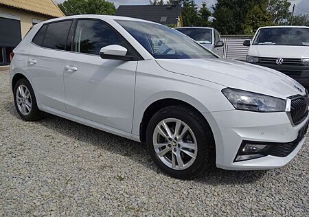Skoda Fabia Selection beh.Lenkrad / Scheibe
