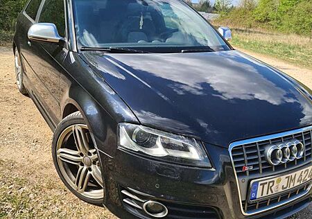 Audi S3 8P BOSE Soundsystem