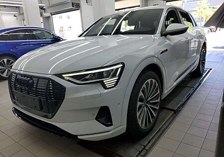 Audi e-tron 50 Q BLACK 21Z/MATRIX/SIDE/PANO/eSITZ/KAM