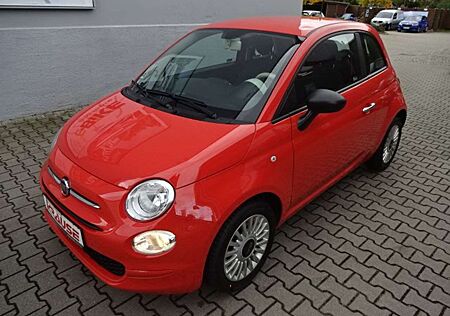 Fiat 500 Cult Mild-Hybrid