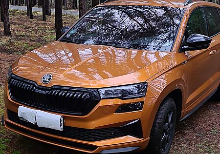 Skoda Karoq 2.0 TDI SCR 4x4 DSG Ambition