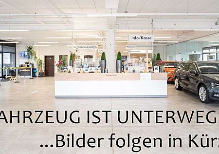 Ford Fiesta 1,25 Titanium PDC SHZ beh. Frontscheibe