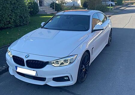 BMW 430 Gran Coupe /HUD/H&K/S-Dach/8-Fach/AppleCarplay