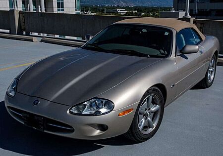 Jaguar XK8 Cabriolet, elegante Farbkombi