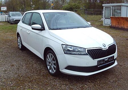 Skoda Fabia Cool Plus Start&Stop Klima Sitheizung Alu