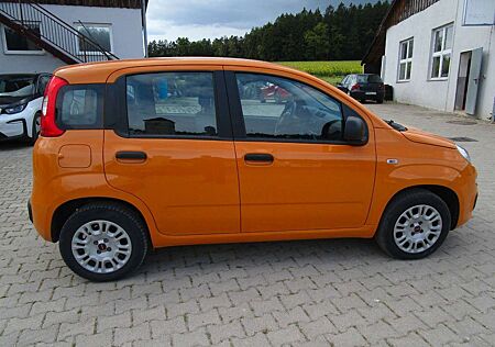 Fiat Panda Easy