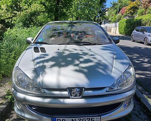 Peugeot 206 206 cc 135 Platinum