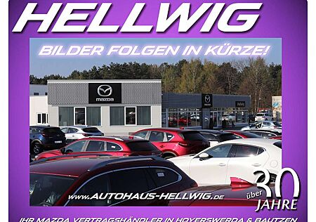 Mazda 6 Kombi 2.2l Sports-Line mit Sport-Plus-Paket Leder