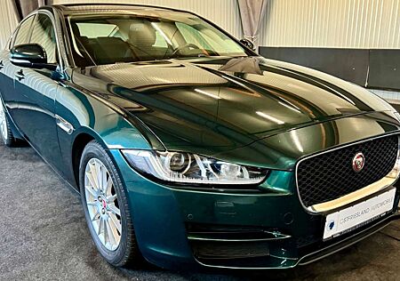 Jaguar XE Portfolio, Kamera, Vollleder, Navi, Automatik