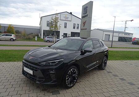 Cupra Terramar VZ 2.0 TSI 4Drive DSG 265PS AHK Navi ACC