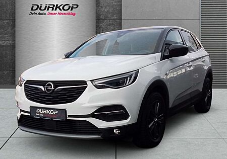 Opel Grandland X Turbo Design Line Navi LED Dyn. Kurvenlicht Apple