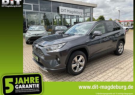 Toyota RAV 4 RAV4 2.5 Hybrid elek.Heckklappe ToteWinkelW