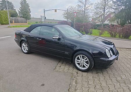 Mercedes-Benz CLK 230 Kompressor EVO, HU/AU Neu, erst 85 Tkm