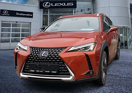 Lexus UX 250h Style Edition ACC FLA ParkAss. SpurW LM