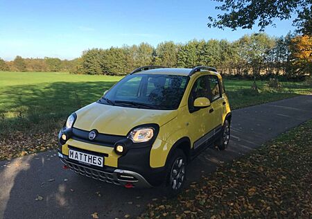 Fiat Panda Cross 4x4 Klimatronic, Top