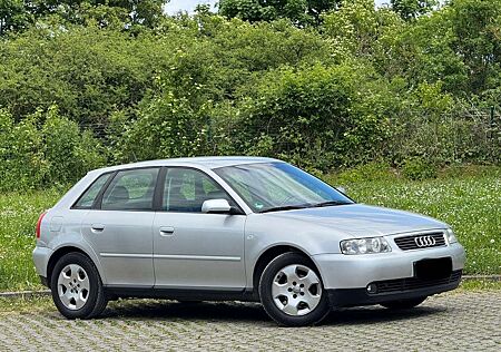 Audi A3 1.6 Ambition guter Zustand Tüv Neu