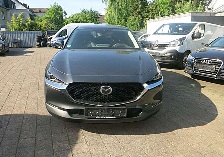 Mazda CX-30 Selection,Leder,Navi