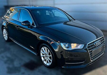 Audi A3 attraction PDC SHZ