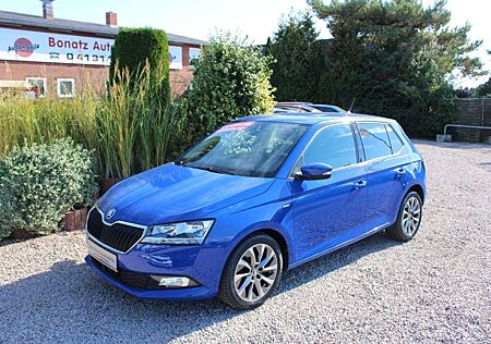 Skoda Fabia 1.0 TSI Clever *Klimatr,Sitzhzg,PDC,ACC,APP*